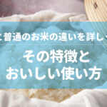 もち米と普通のお米の違いを詳しく解説！その特徴とおいしい使い方