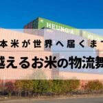 日本米が世界へ届くまで！海を越えるお米の物流舞台裏