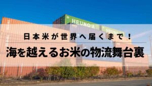 日本米が世界へ届くまで！海を越えるお米の物流舞台裏