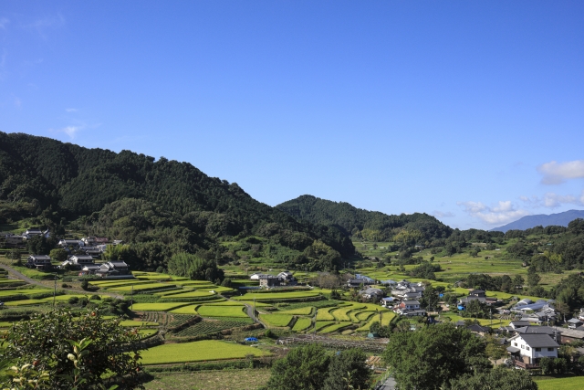 世界で人気の日本米ブランドとは？