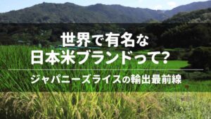 世界で有名な日本米ブランドって？ジャパニーズライスの輸出最前線