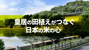 皇居の田植えがつなぐ日本の米の心