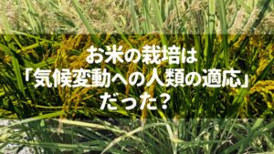 お米の栽培は「気候変動への人類の適応」だった？