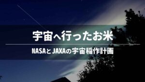 宇宙へ行ったお米─NASAとJAXAの宇宙稲作計画