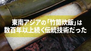 東南アジアの「竹筒炊飯」は数百年以上続く伝統技術だった