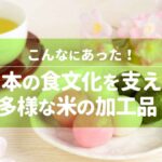 こんなにあった！日本の食文化を支える多様な米の加工品