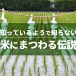知っているようで知らない、米にまつわる伝説