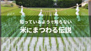 知っているようで知らない、米にまつわる伝説