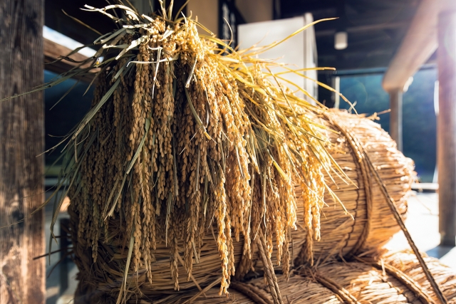 黒船来航が突きつけた「食料供給」という課題