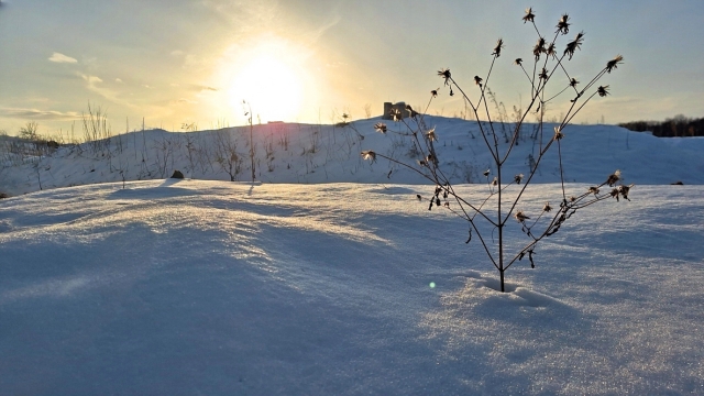 豪雪地帯の自然条件と稲作の特徴
