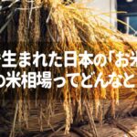 大阪で生まれた日本の「お米市場」堂島の米相場ってどんなところ？