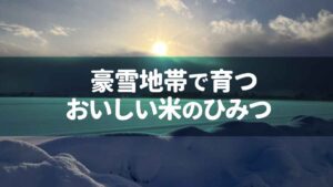 豪雪地帯で育つおいしい米のひみつ