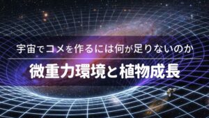 宇宙でコメを作るには何が足りないのか――微重力環境と植物成長