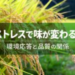 稲はストレスで味が変わるのか？環境応答と品質の関係