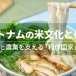ベトナムの米文化とは？食生活と農業を支える「稲作国家」の実像