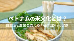ベトナムの米文化とは？食生活と農業を支える「稲作国家」の実像