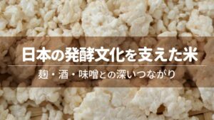 日本の発酵文化を支えた米――麹・酒・味噌との深いつながり