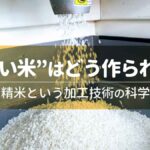 “白い米”はどう作られる？精米という加工技術の科学