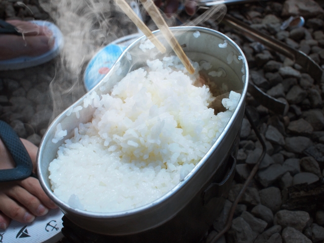 ご飯が食中毒の原因になる理由