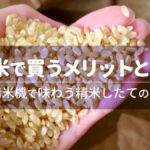 玄米で買うメリットとは？家庭用精米機で味わう精米したてのおいしさ