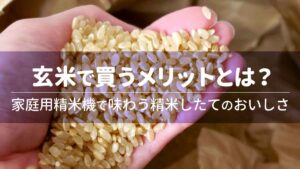 玄米で買うメリットとは？家庭用精米機で味わう精米したてのおいしさ